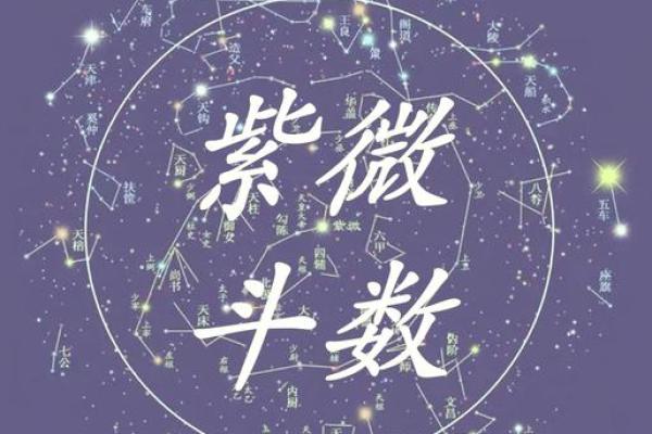 紫微斗数化杀为权,掌握命运的秘密 紫微斗数化杀为权,掌握命运的秘密