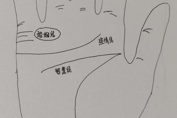 图解：手相纵欲线算命