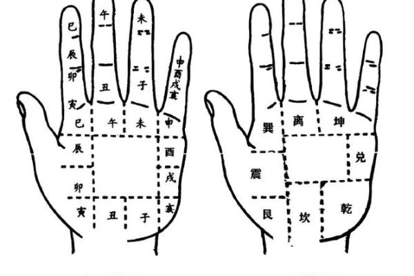 图解：手相纵欲线算命