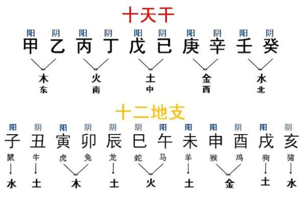 生辰八字,不再是迷:一篇文章教你轻松推算 生辰八字,不再是迷:一篇文章教你轻松推算