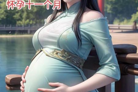 紫薇斗数流年怀孕生子