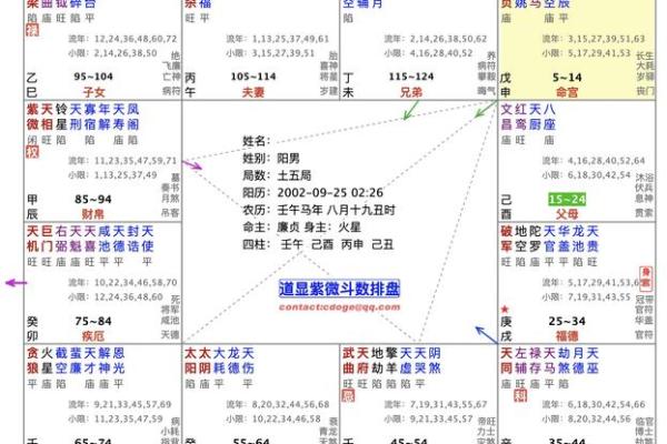 紫薇斗数实例解说