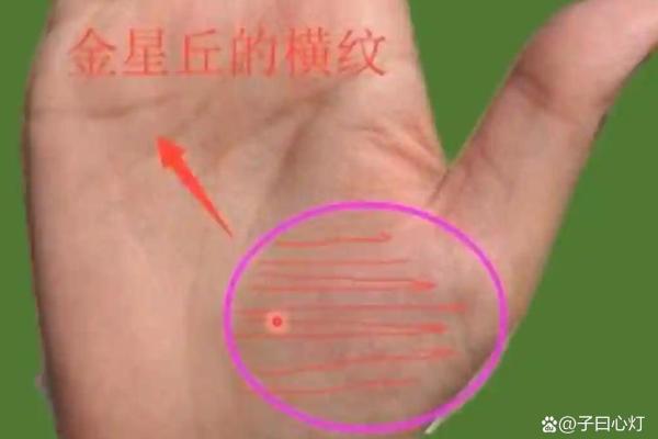 有横财偏财的手相女命八字 有横财偏财的手相女命八字