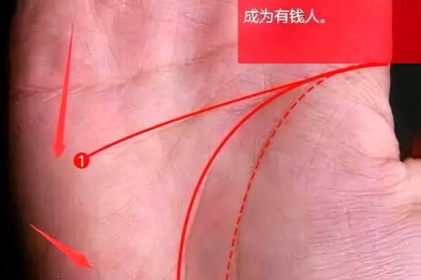 有横财偏财的手相女命八字 有横财偏财的手相女命八字
