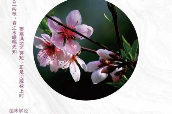 八字中有哪些的桃花魅力最大呢 八字中有哪些的桃花魅力最大呢