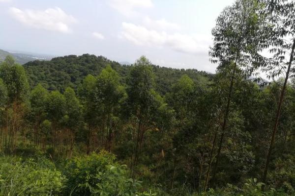 绝不可居住的六大风水凶地