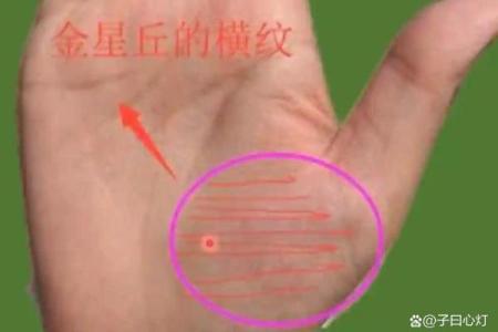 有横财偏财的手相女命八字