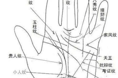 看手相算命大师免费下载