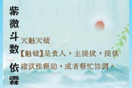 紫微斗数关于天魁天钺星的部分解析