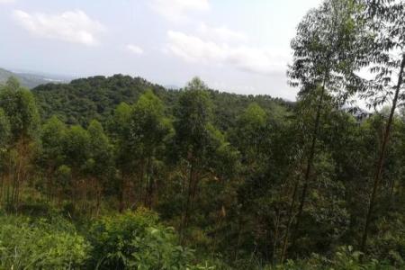 绝不可居住的六大风水凶地