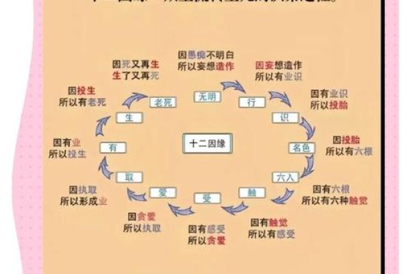 八字查玄机,探秘外表之谜! 八字查玄机,探秘外表之谜!