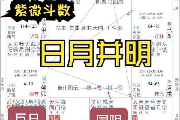 紫薇斗数状元格