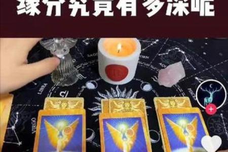 塔罗测试创业的你成功率大吗-