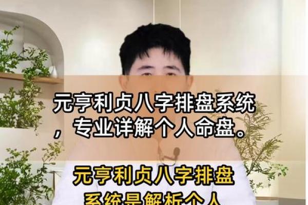 元亨八字排盘,新浪八字命盘查询