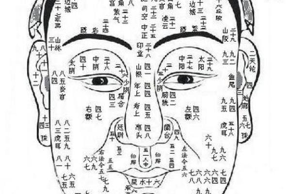 下巴算命看人生,面相下巴看你的人生祸福 下巴算命看人生,面相下巴看你的人生祸福