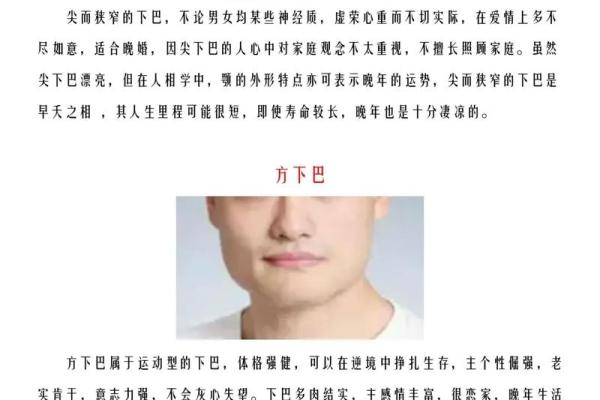 下巴算命看人生,面相下巴看你的人生祸福 下巴算命看人生,面相下巴看你的人生祸福