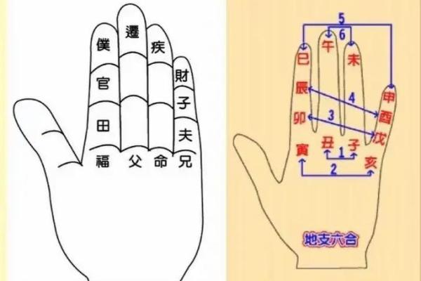 算命如何说六指