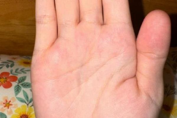 手相算命:川字掌的性格特点 手相算命:川字掌的性格特点