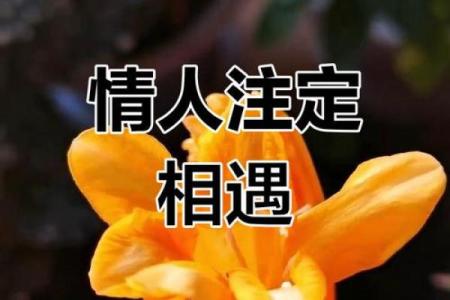 测试我与情人的缘分是 测试情侣缘分？