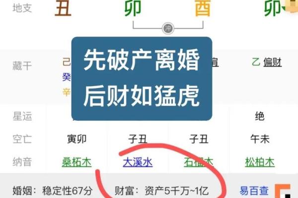 八字排盘算命软件下载
