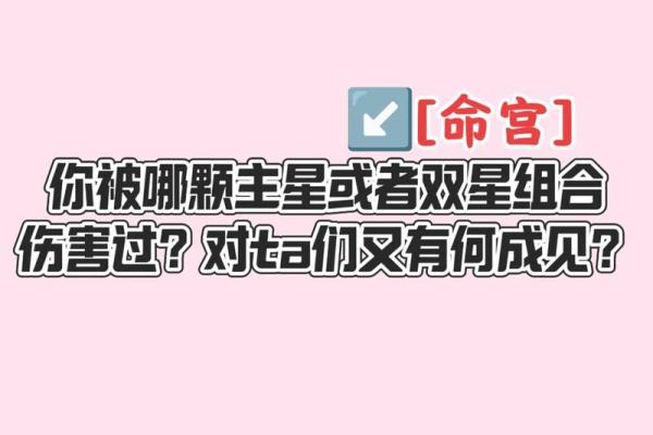 紫薇斗数主星组合