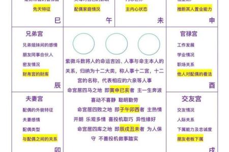 紫薇斗数紫薇独坐