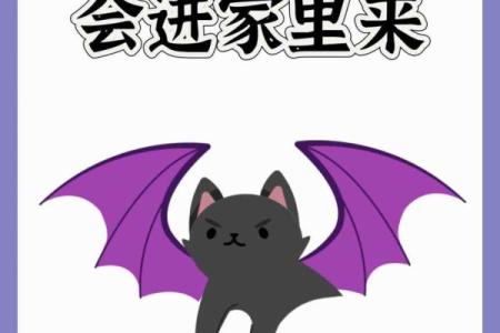 动物风水之家里飞进蝙蝠的解说