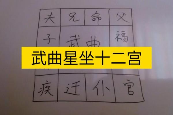 东有小山紫微斗数第8课：北斗星系②（太阳、武曲、天同、廉贞）