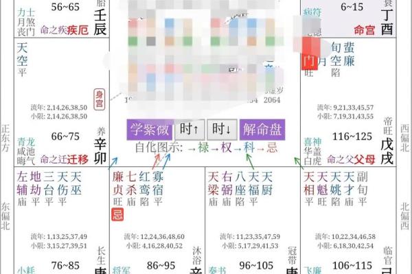 流年紫薇斗数怀孕