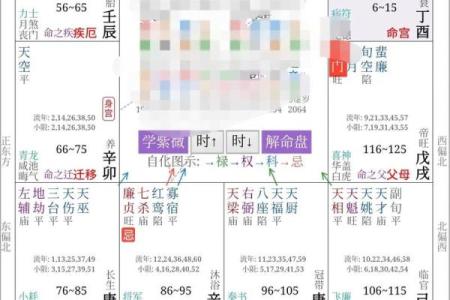 流年紫薇斗数怀孕