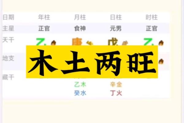 八字纯土是什么格局 八字纯土是什么格局