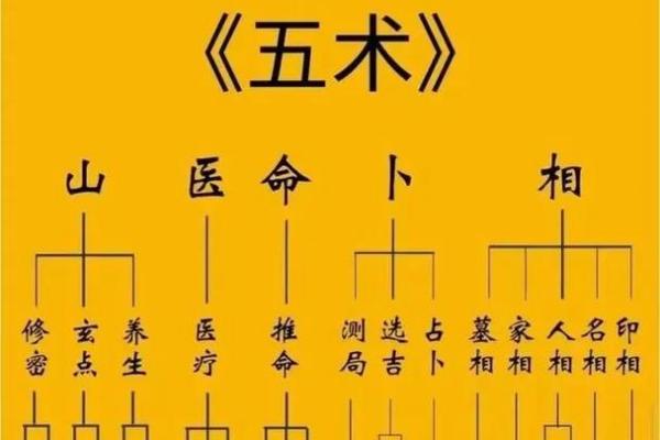 紫微紫薇斗数 紫微紫薇斗数