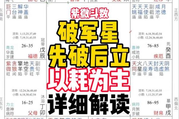 紫薇斗数详细测试