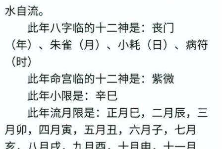 八字排盘软件下载