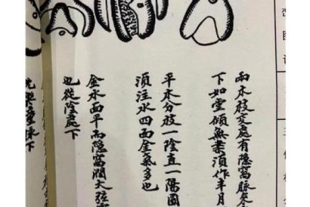 怎样看墓地风水