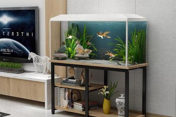 十大小户型之家居风水的宜和忌 十大小户型之家居风水的宜和忌