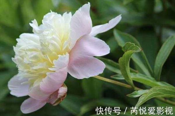 神准测试--趋利避害！最近有祸事吗？