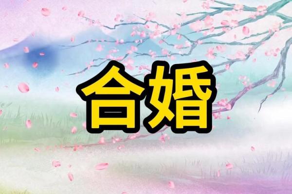 八字合盘 八字合盘