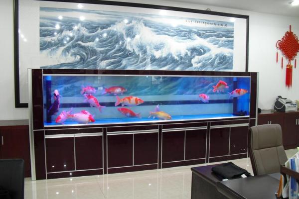 养鱼风水的忌讳有哪些呢