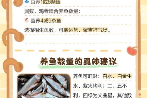 养鱼风水的忌讳有哪些呢