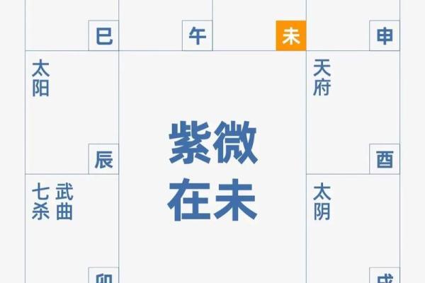 紫薇斗数男顺时