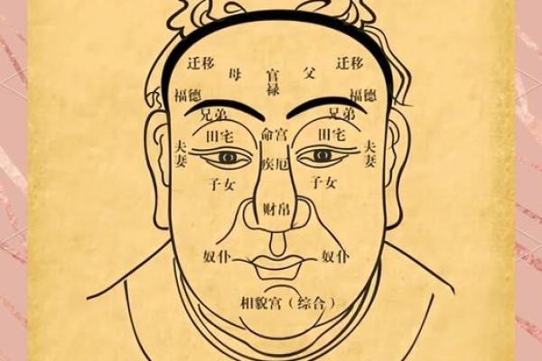 你的五官里，藏着你一生的风水
