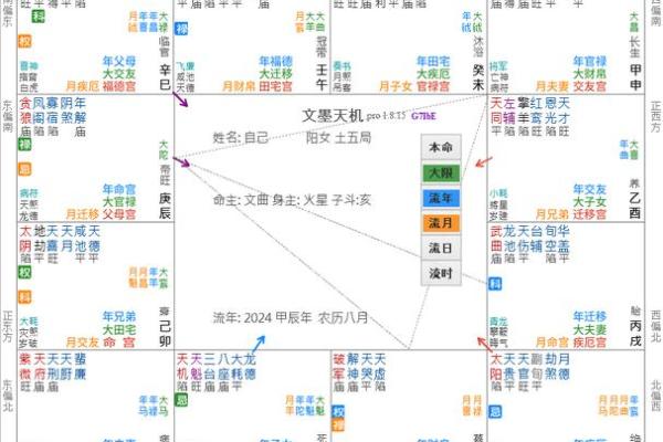 紫薇斗数疾恶化忌 紫薇斗数疾恶化忌