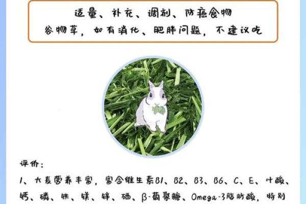 算命兔子在吃草,兔吃草是什么命