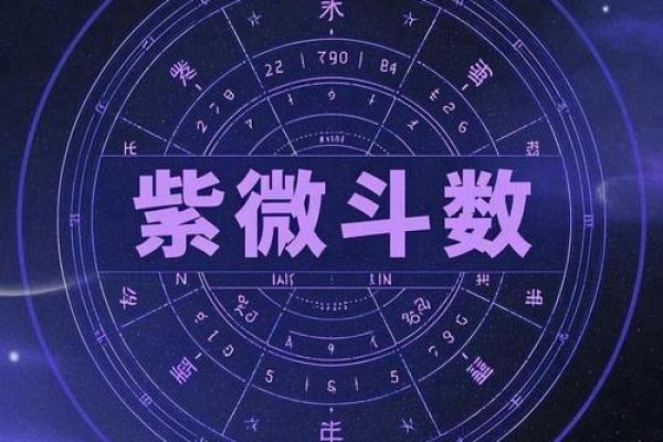 紫微斗数之兄弟宫与诸星,天梁星在兄弟宫是什么意思？