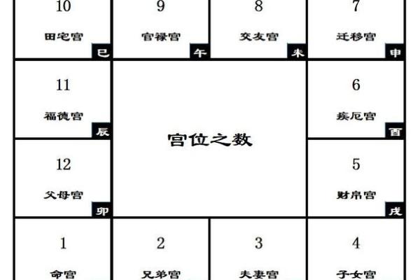 紫薇斗数各宫位