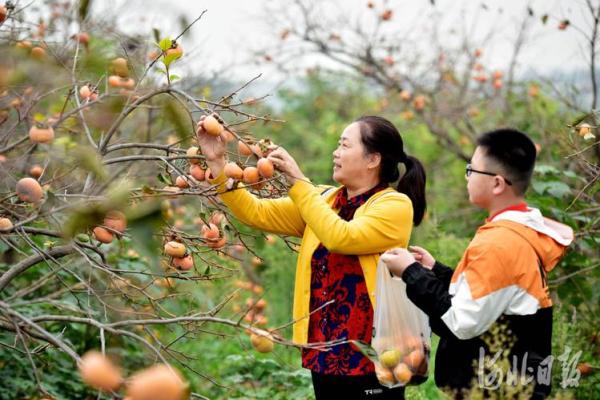 河北临城东升算命女人
