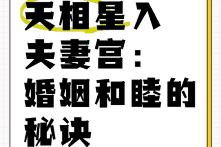 紫微斗数之夫妻宫与诸星，天相星在夫妻宫是什么意思？