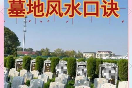 风水先生看坟地