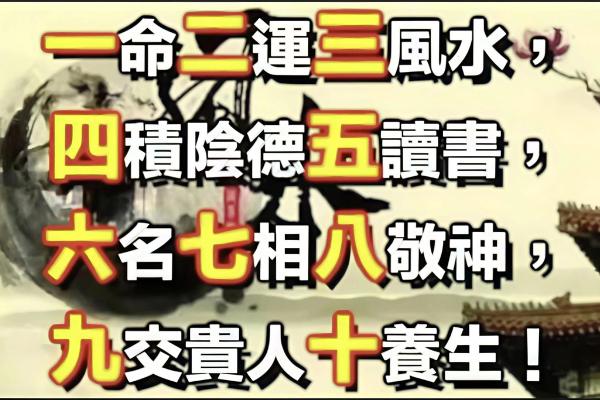 八字5两9特点介绍,八字5两9的含义及其解析 八字5两9特点介绍,八字5两9的含义及其解析